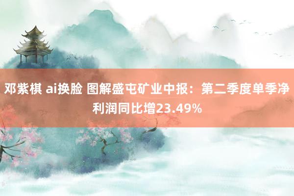 邓紫棋 ai换脸 图解盛屯矿业中报：第二季度单季净利润同比增23.49%