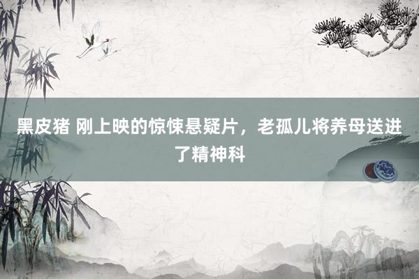 黑皮猪 刚上映的惊悚悬疑片，老孤儿将养母送进了精神科