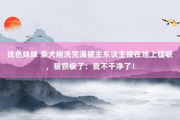 找色妹妹 柴犬刚洗完澡被主东谈主按在地上猛吸，狼狈极了：我不干净了！
