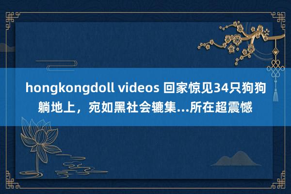 hongkongdoll videos 回家惊见34只狗狗躺地上，宛如黑社会辘集...所在超震憾