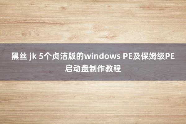黑丝 jk 5个贞洁版的windows PE及保姆级PE启动盘制作教程