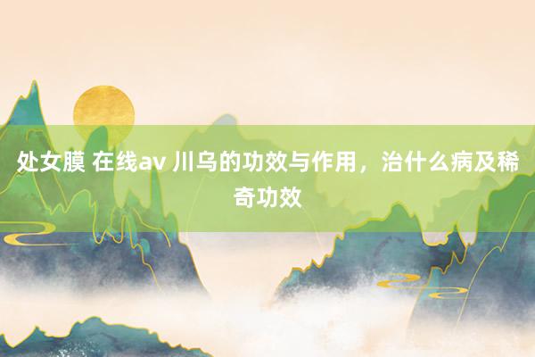 处女膜 在线av 川乌的功效与作用，治什么病及稀奇功效