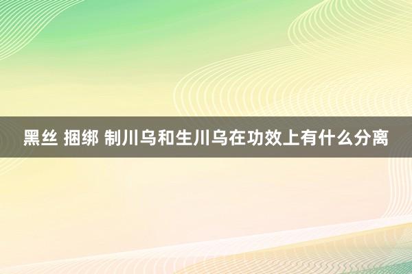 黑丝 捆绑 制川乌和生川乌在功效上有什么分离