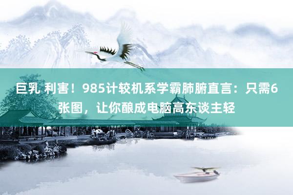 巨乳 利害！985计较机系学霸肺腑直言：只需6张图，让你酿成