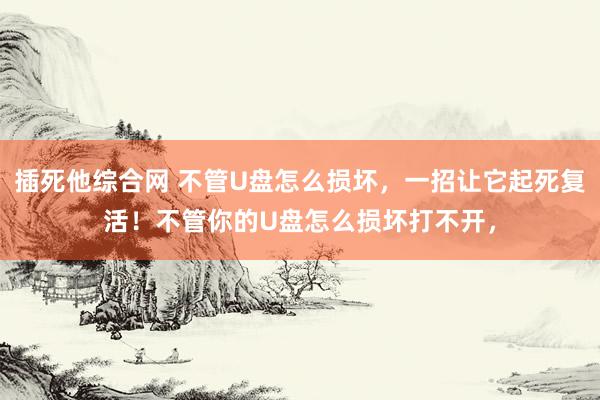 插死他综合网 不管U盘怎么损坏，一招让它起死复活！不管你的U
